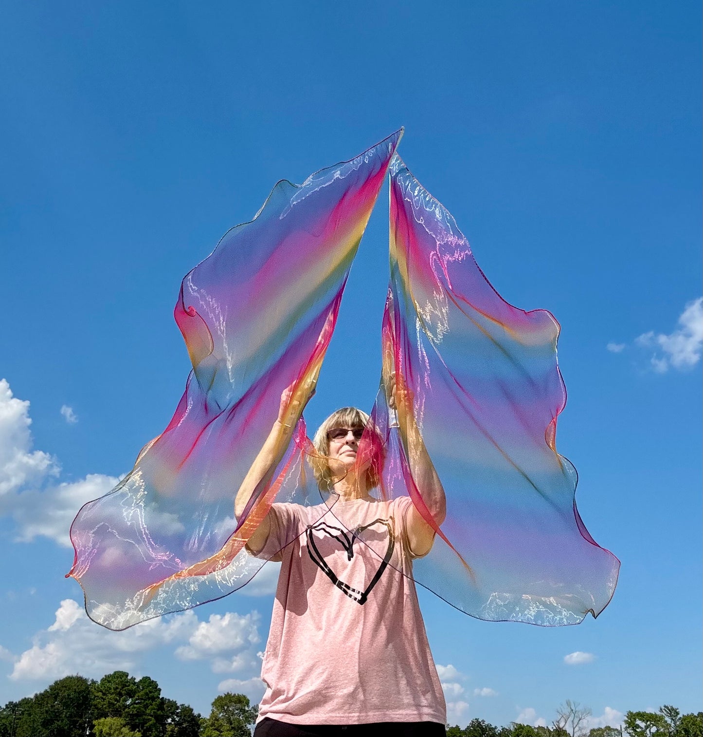 God's Promise Worship Praise Dance Flags (Medium)