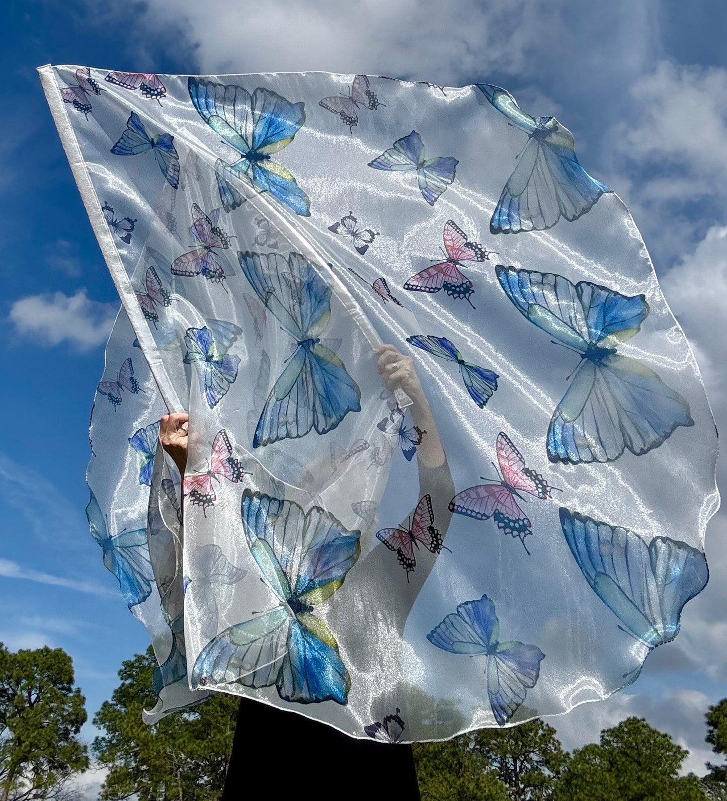 Transformation Worship Praise Dance Flags (Large)