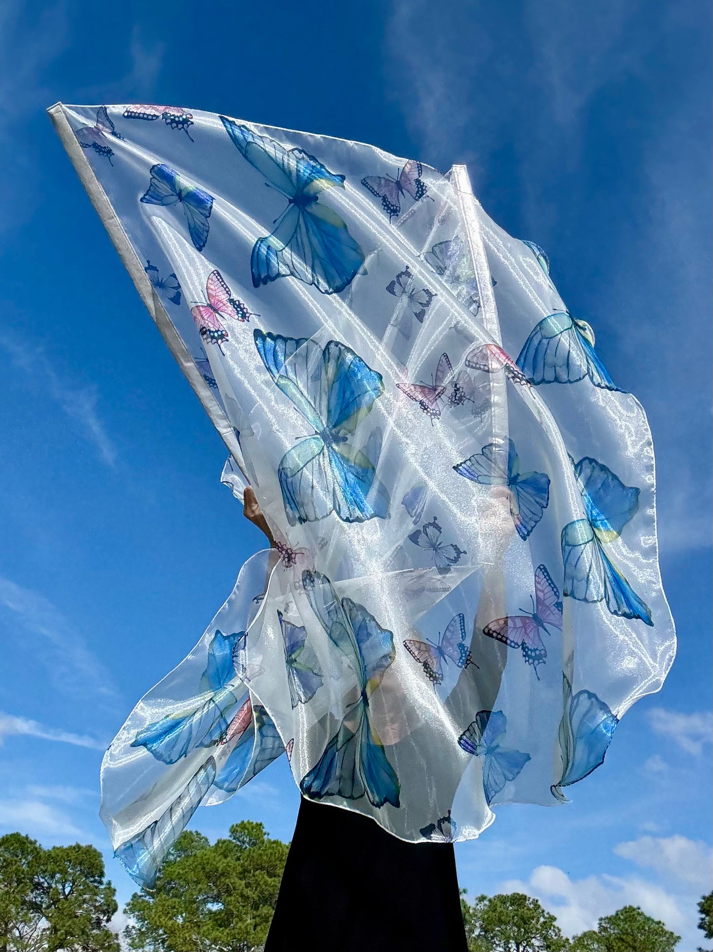 Transformation Worship Praise Dance Flags (Large)