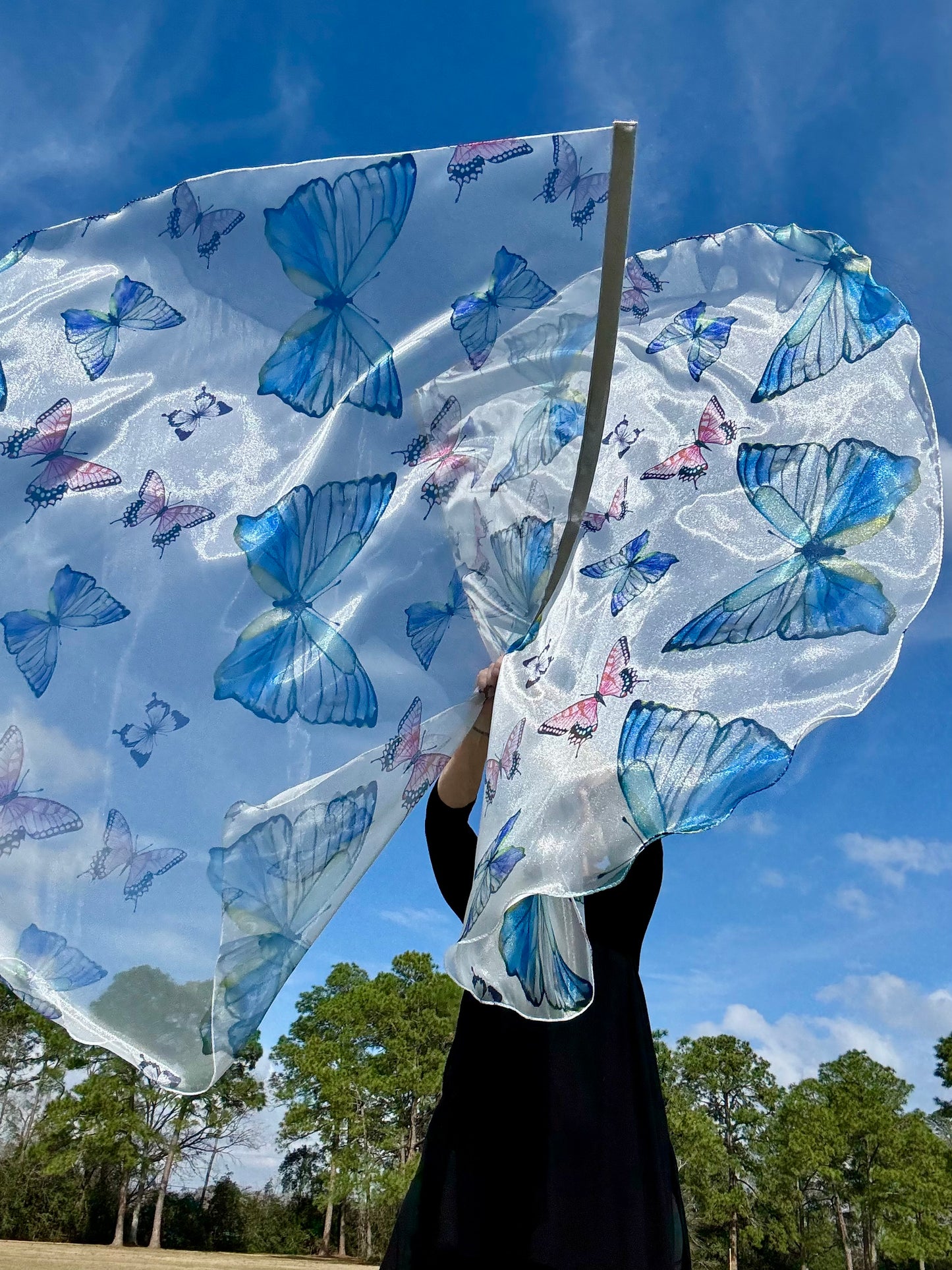 Transformation Worship Praise Dance Flags (Large)