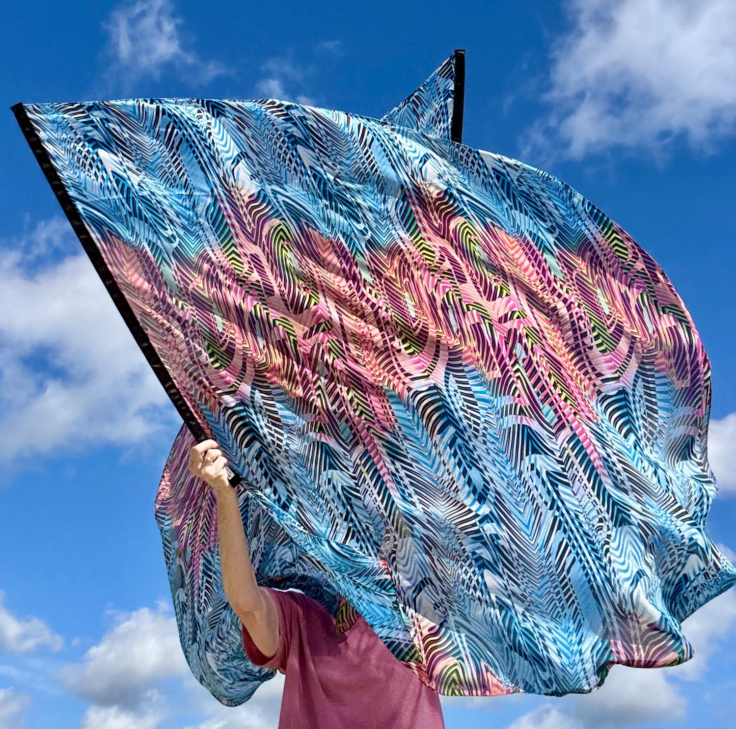 Jacobs Ladder Worship Praise Dance Flags (Large)