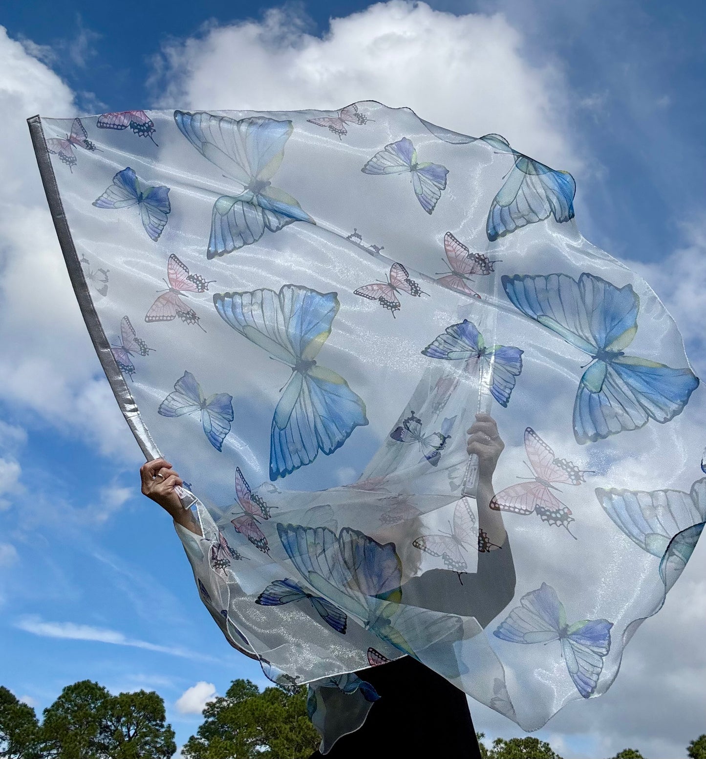 Transformation Worship Praise Dance Flags (Large)