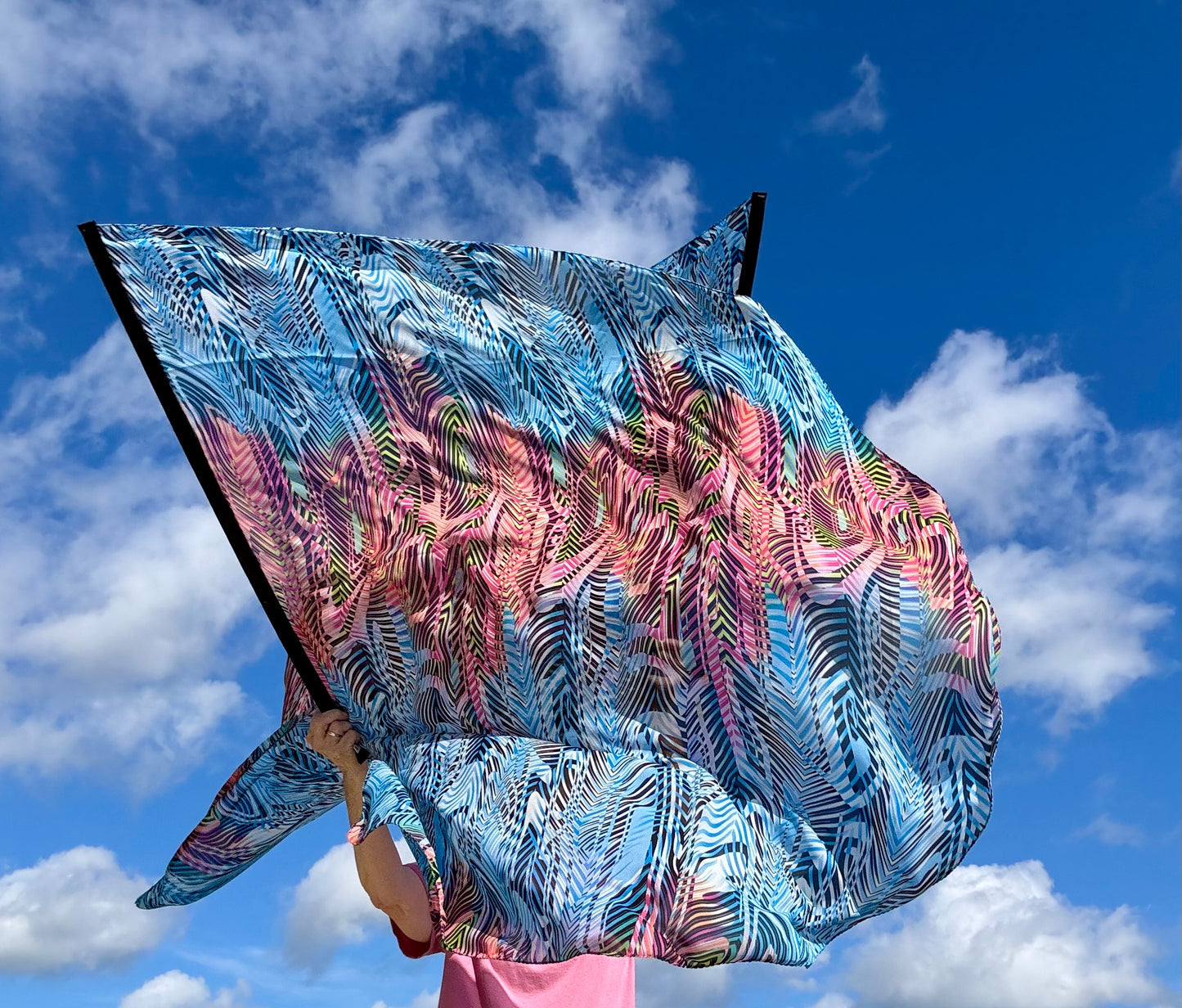 Jacobs Ladder Worship Praise Dance Flags (Large)