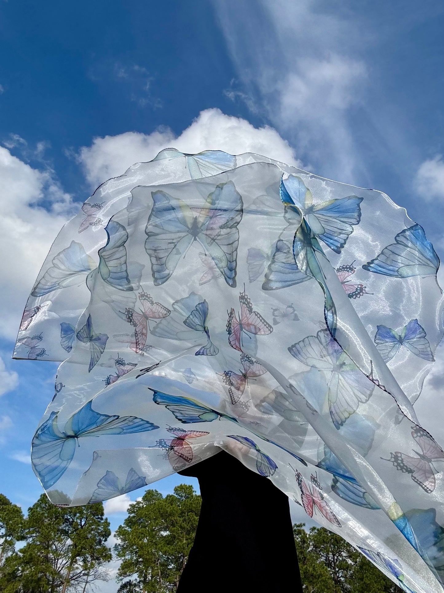 Transformation Worship Praise Dance Flags (Large)