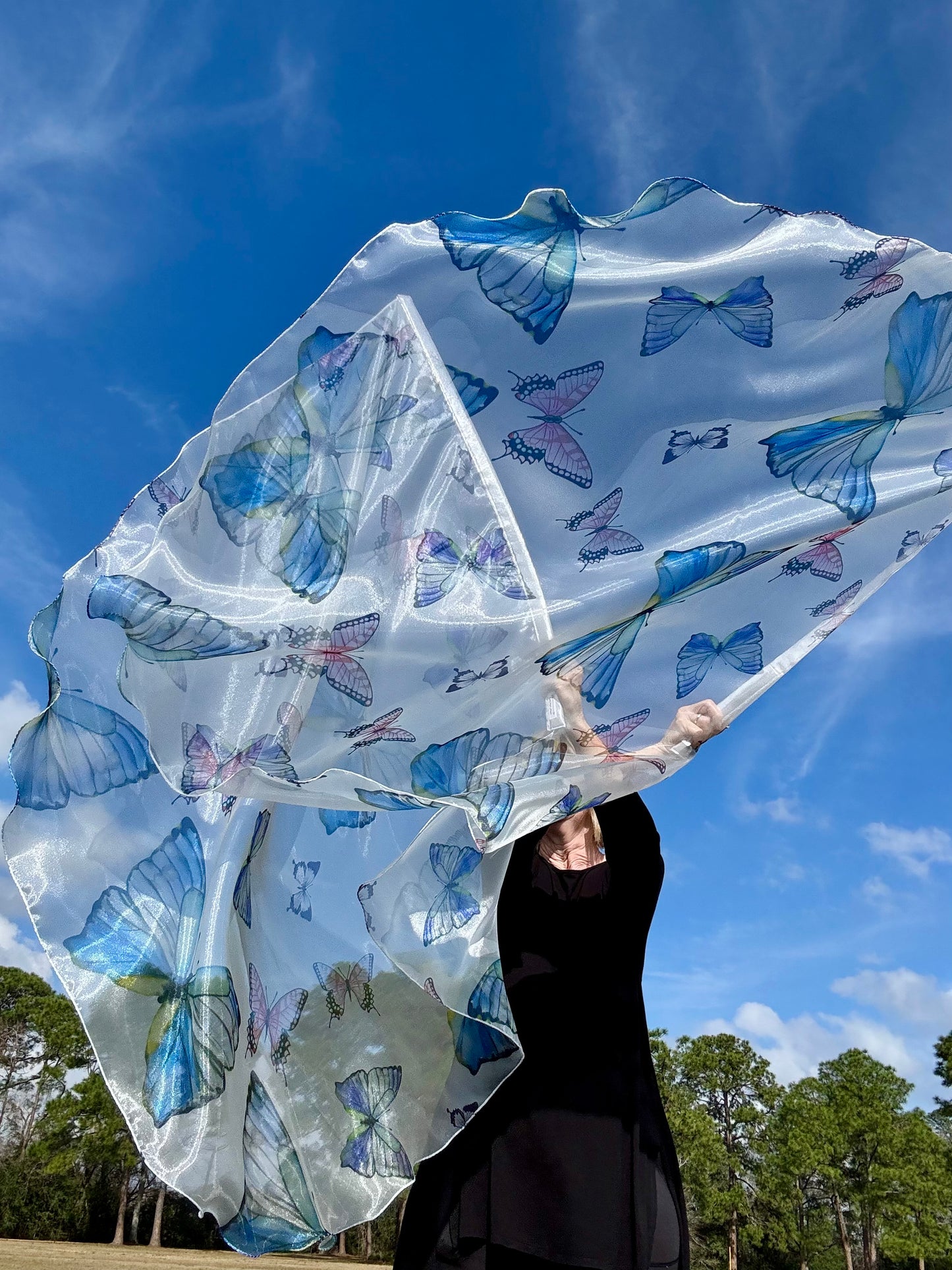 Transformation Worship Praise Dance Flags (Large)