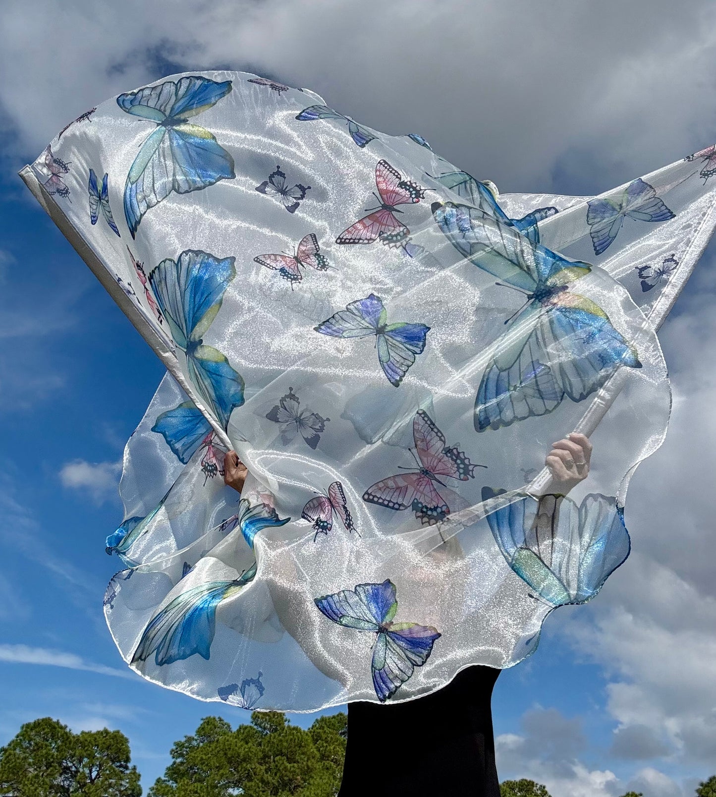 Transformation Worship Praise Dance Flags (Large)