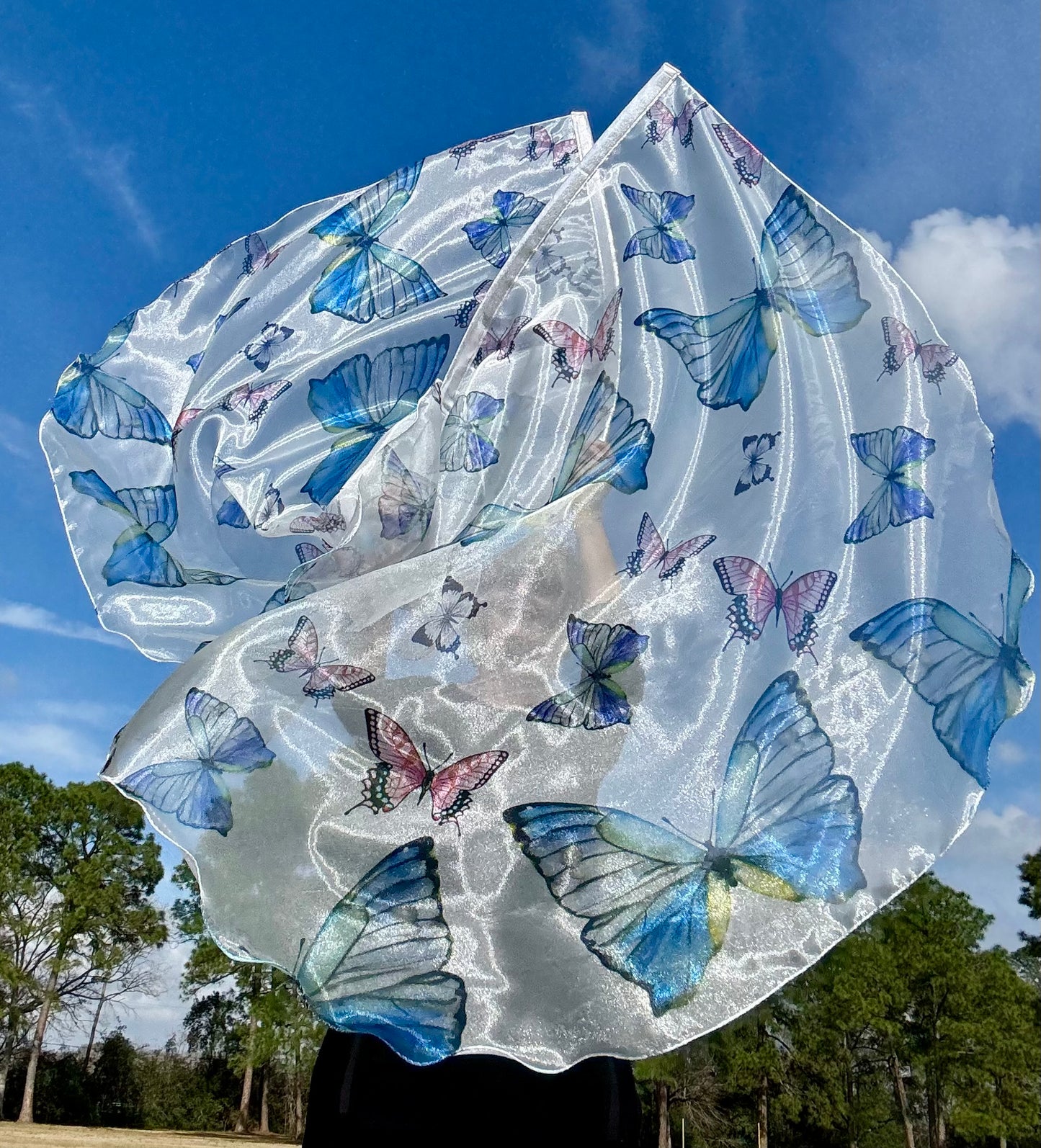 Transformation Worship Praise Dance Flags (Large)