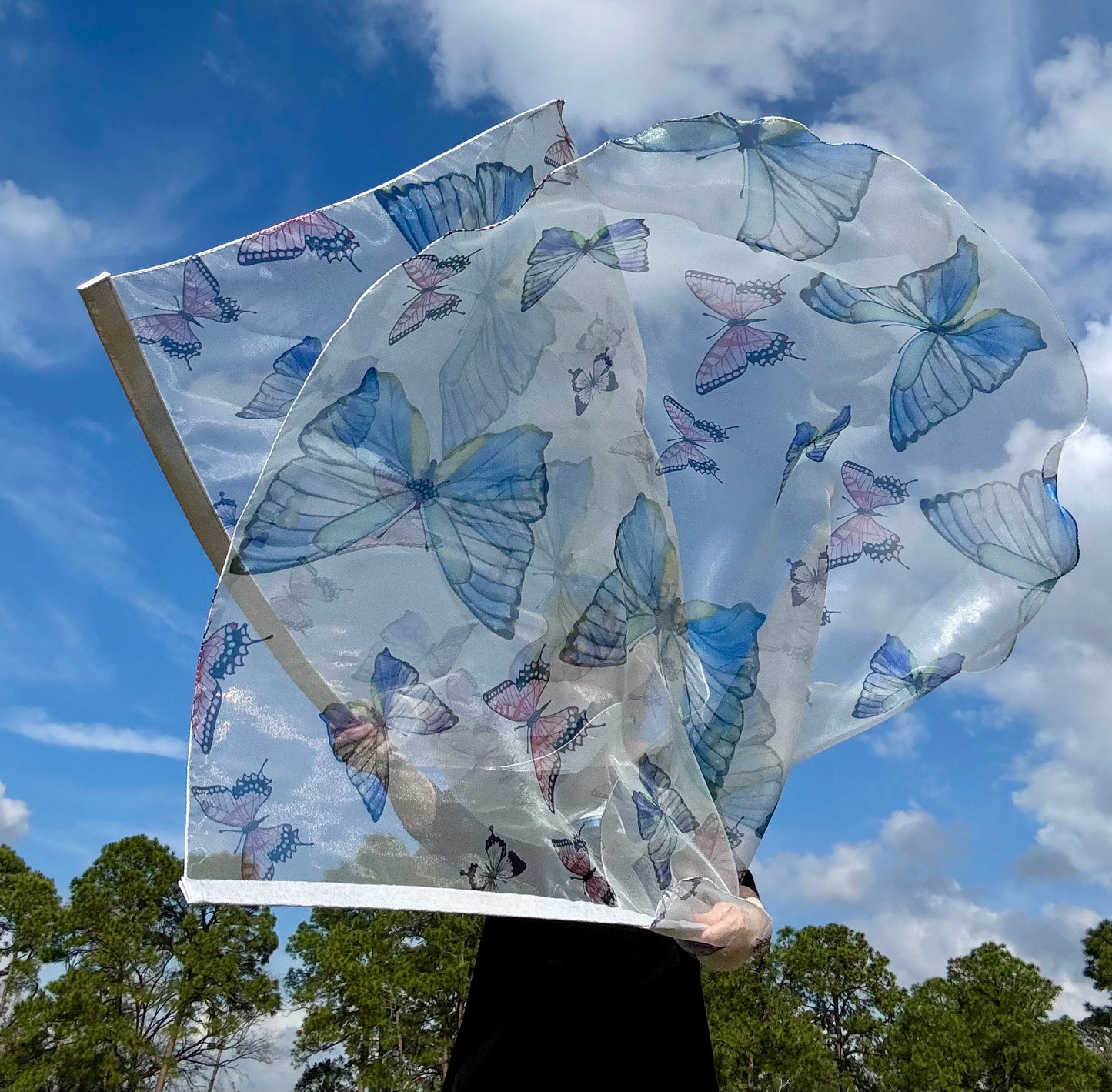 Transformation Worship Praise Dance Flags (Large)