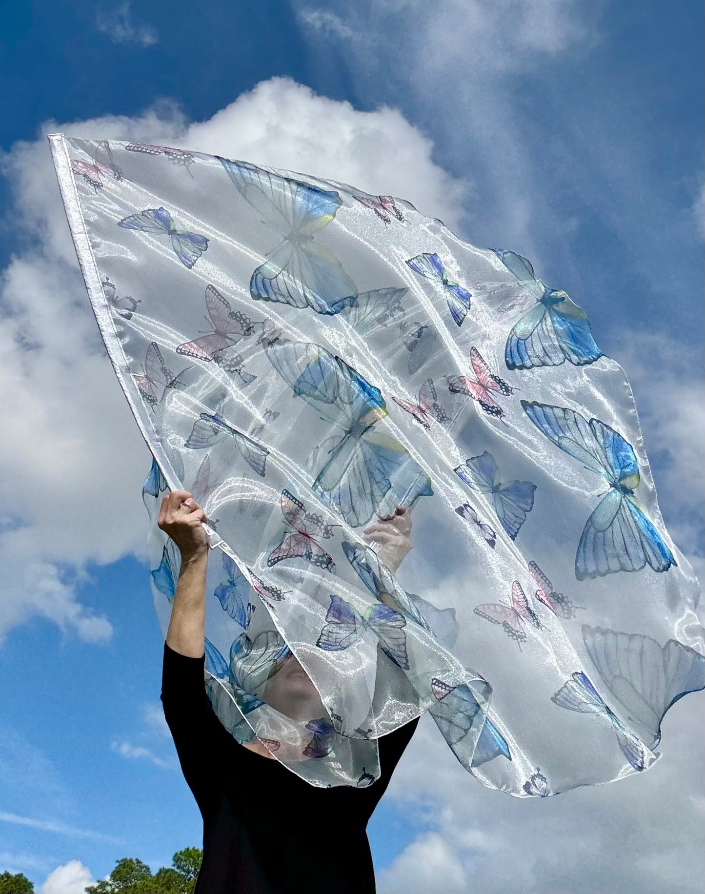 Transformation Worship Praise Dance Flags (Large)