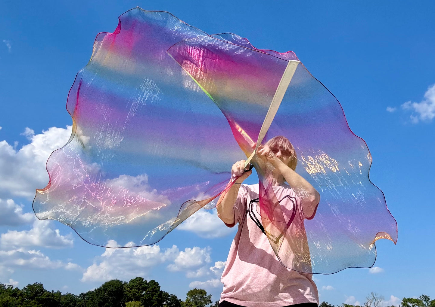 God's Promise Worship Praise Dance Flags (Medium)