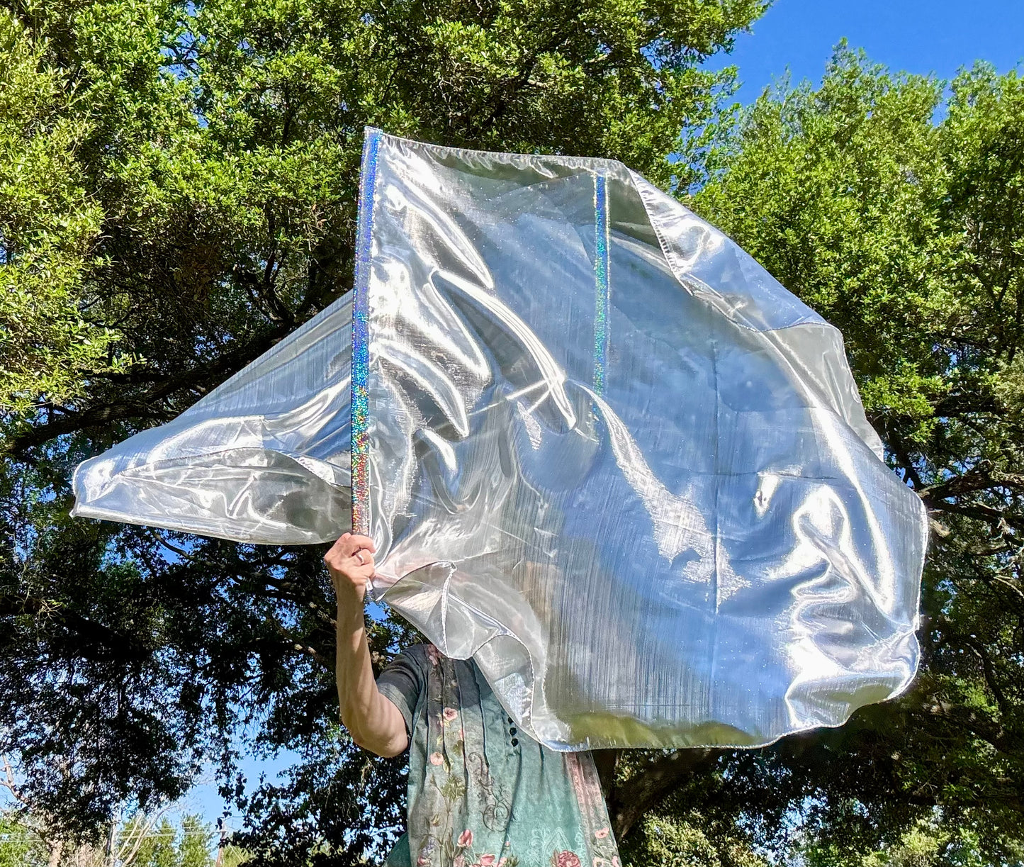 Sword of the Spirit Worship Praise Dance Flags (Medium)