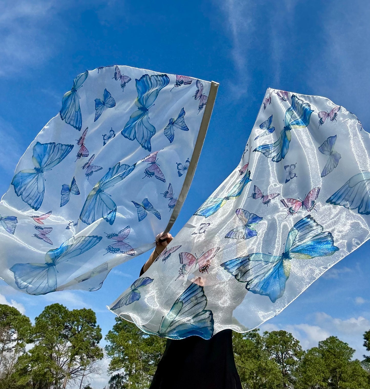 Transformation Worship Praise Dance Flags (Large)