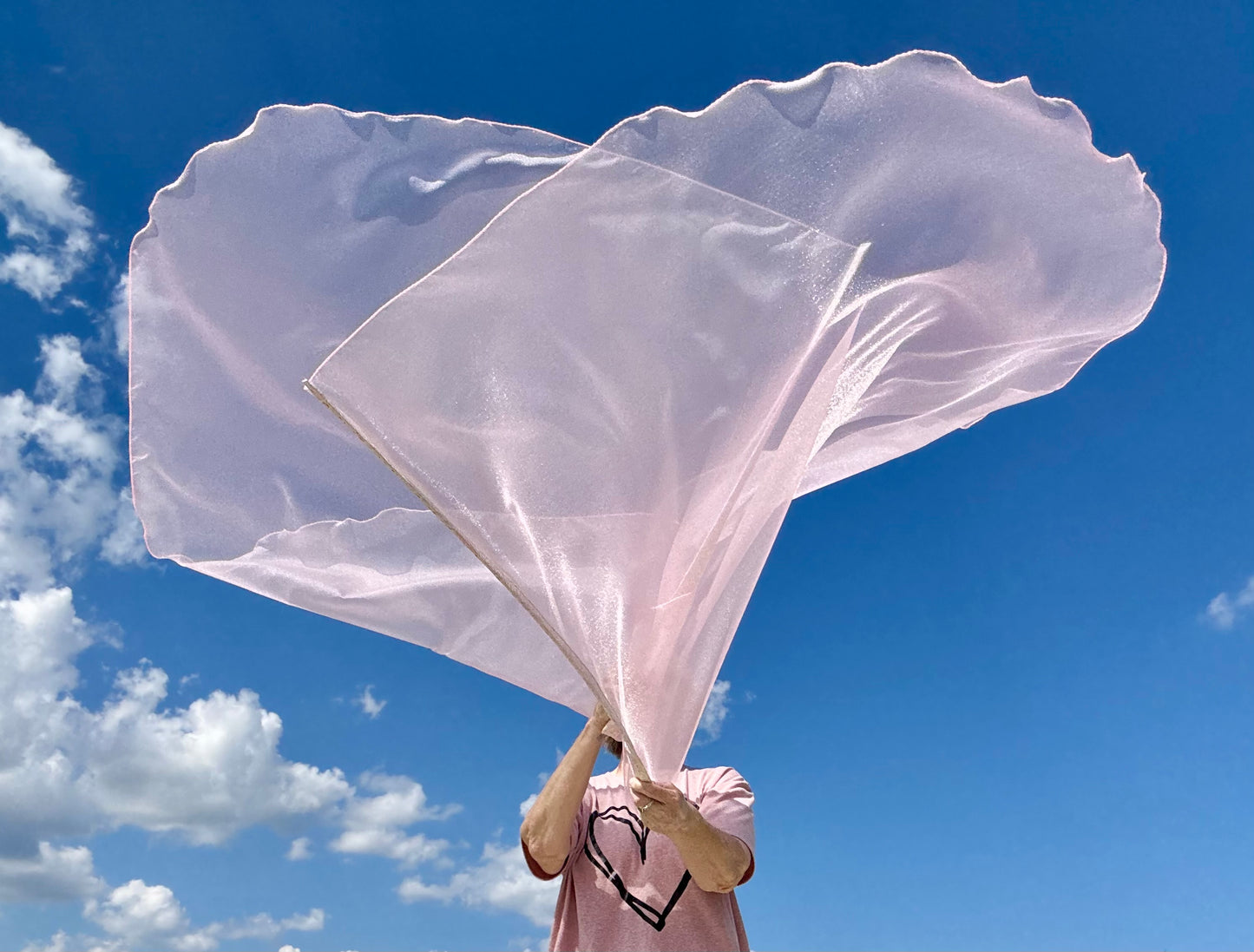 Reconciliation Worship Praise Dance Flags (Large)