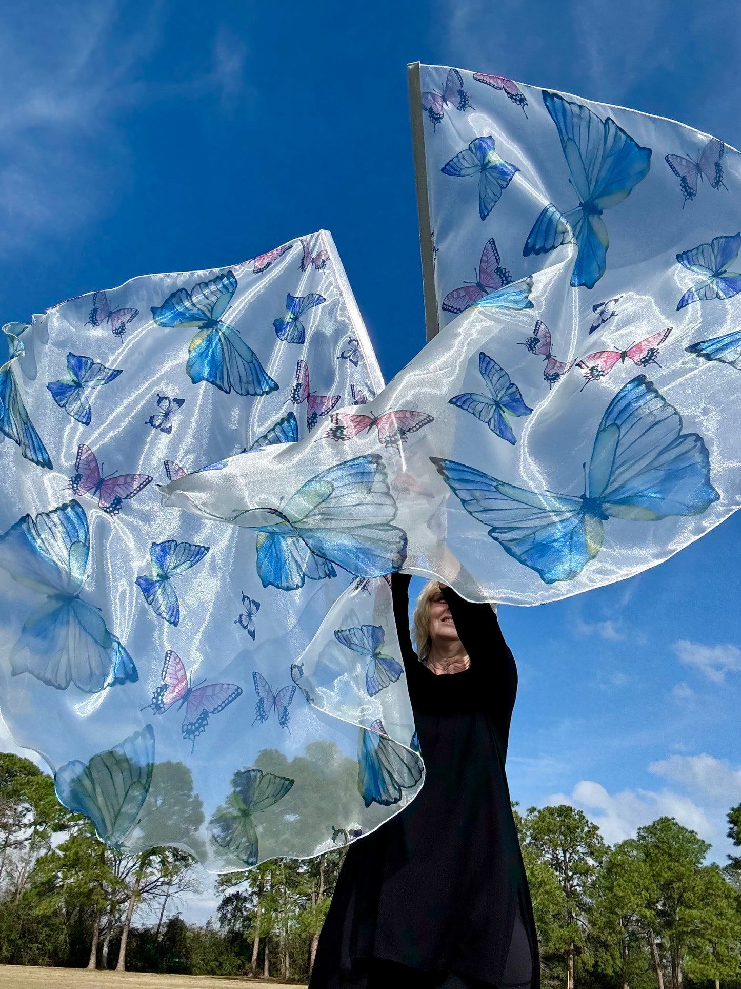 Transformation Worship Praise Dance Flags (Large)