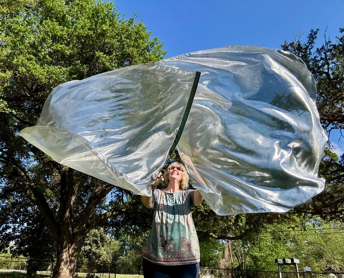 Sword of the Spirit Worship Praise Dance Flags (Large)