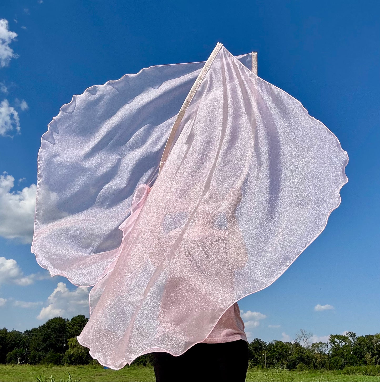 Reconciliation Worship Praise Dance Flags (Large)