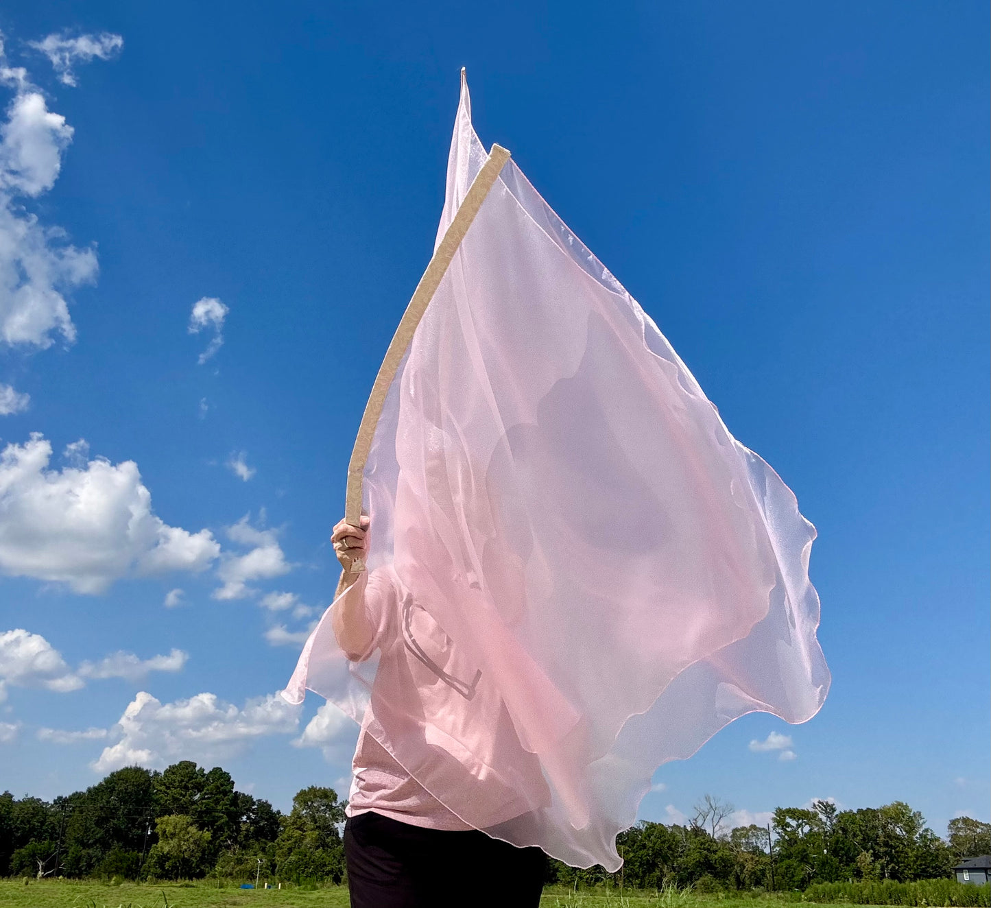 Reconciliation Worship Praise Dance Flags (Large)