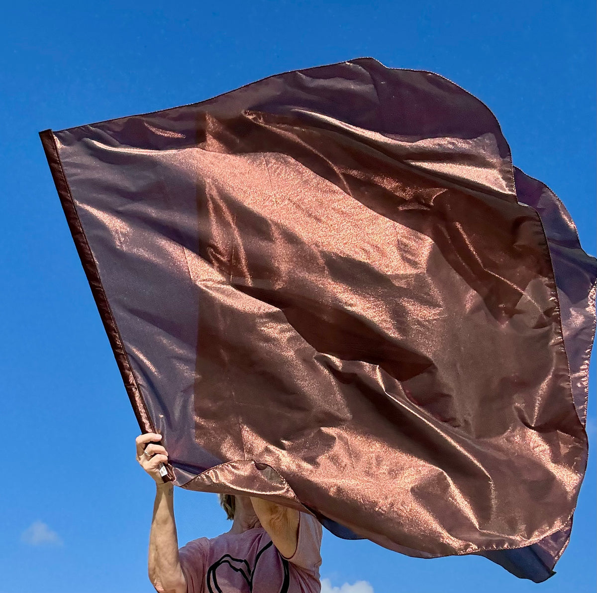 Bronze Shield Worship Praise Dance Flags (Medium)