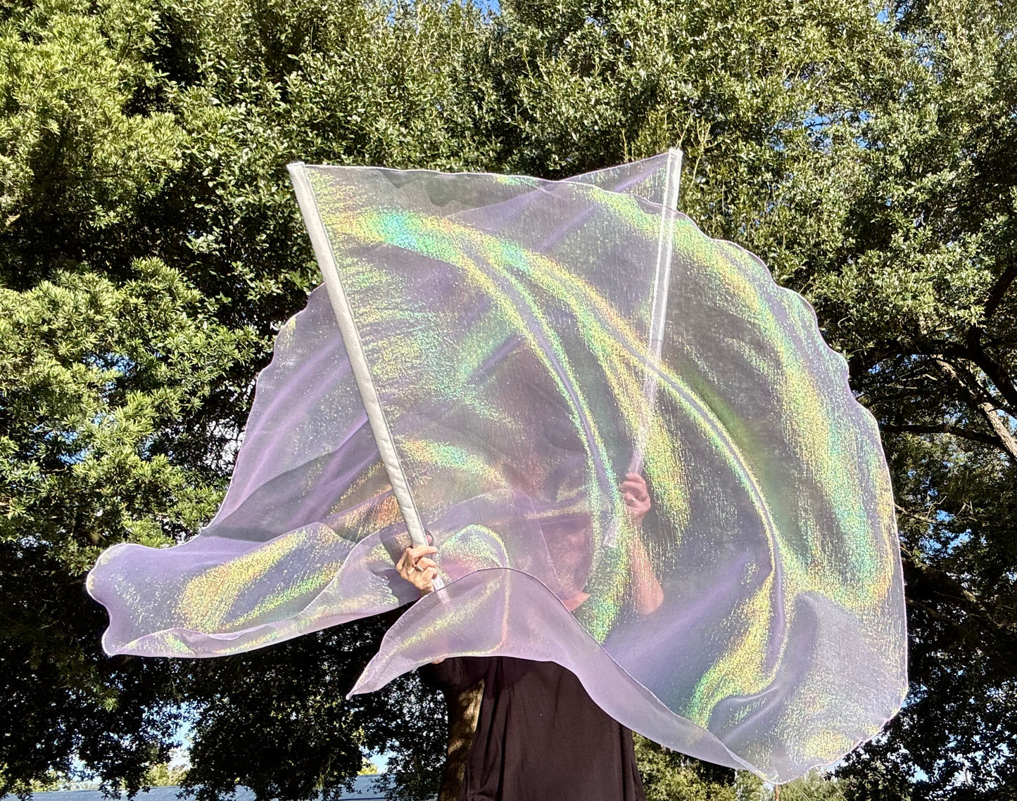 Dew from Heaven Worship Praise Dance Flags (Large)