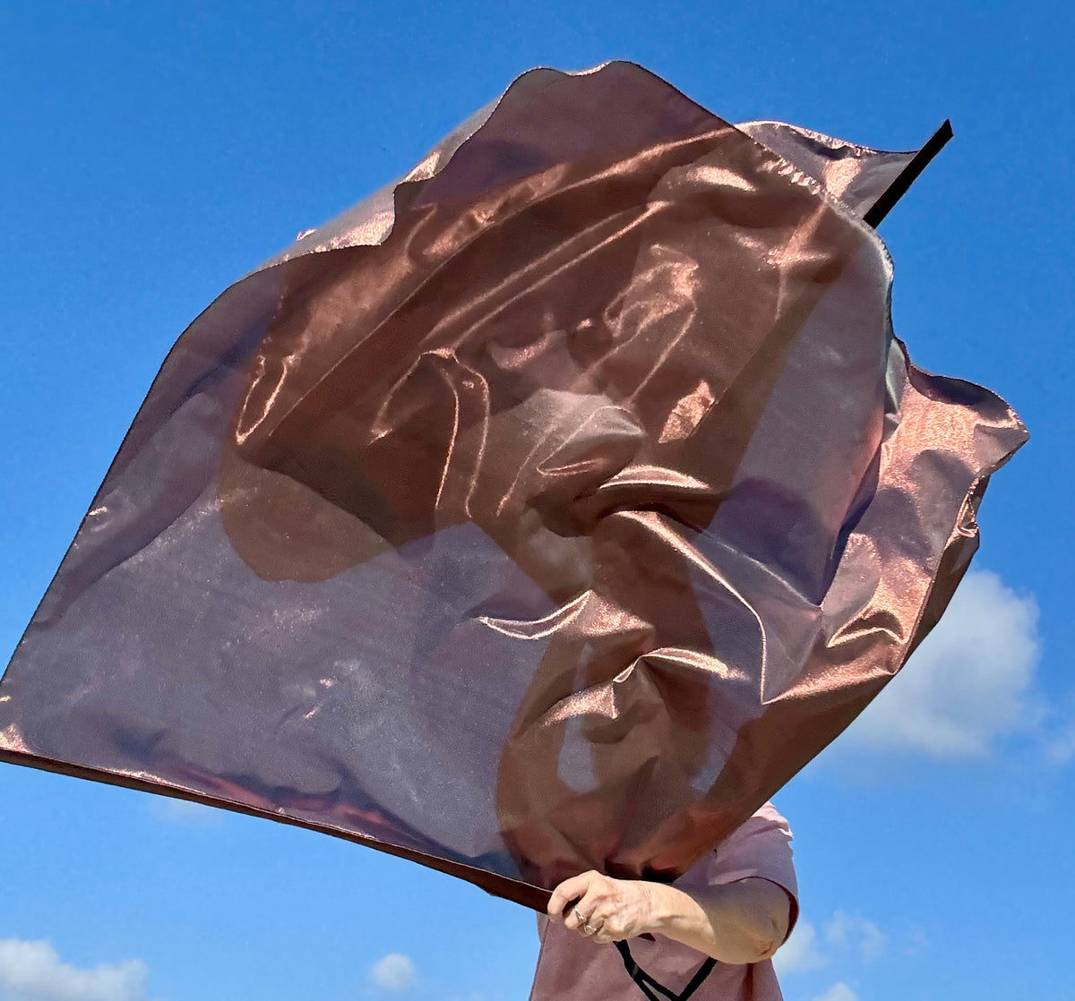 Bronze Shield Worship Praise Dance Flags (Medium)