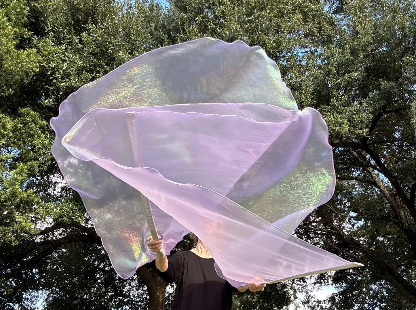 Dew from Heaven Worship Praise Dance Flags (Large)