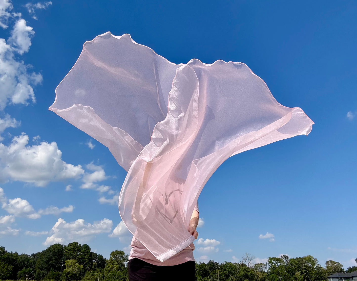 Reconciliation Worship Praise Dance Flags (Large)