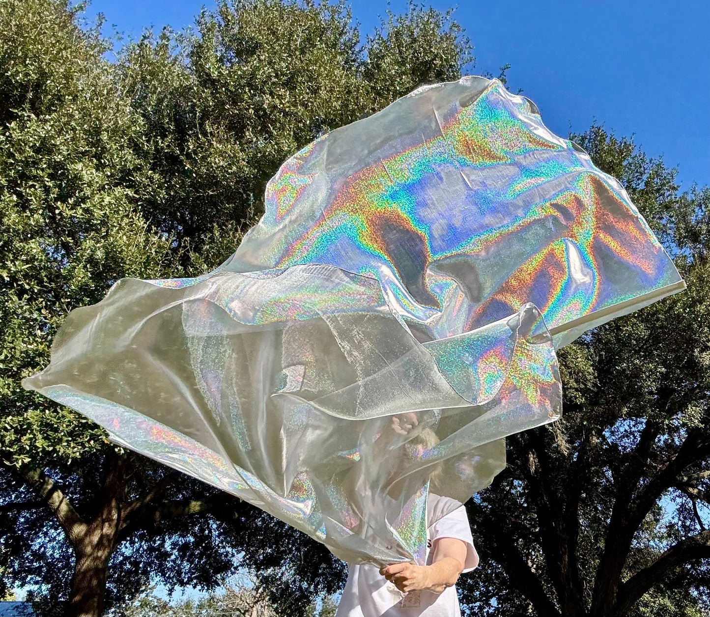 Flashing Sword (Holographic) Worship Praise Dance Flags (Large)