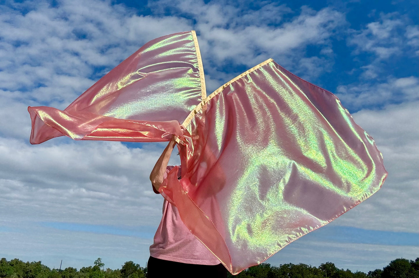 REfresh Worship Praise Dance Flags (LARGE)