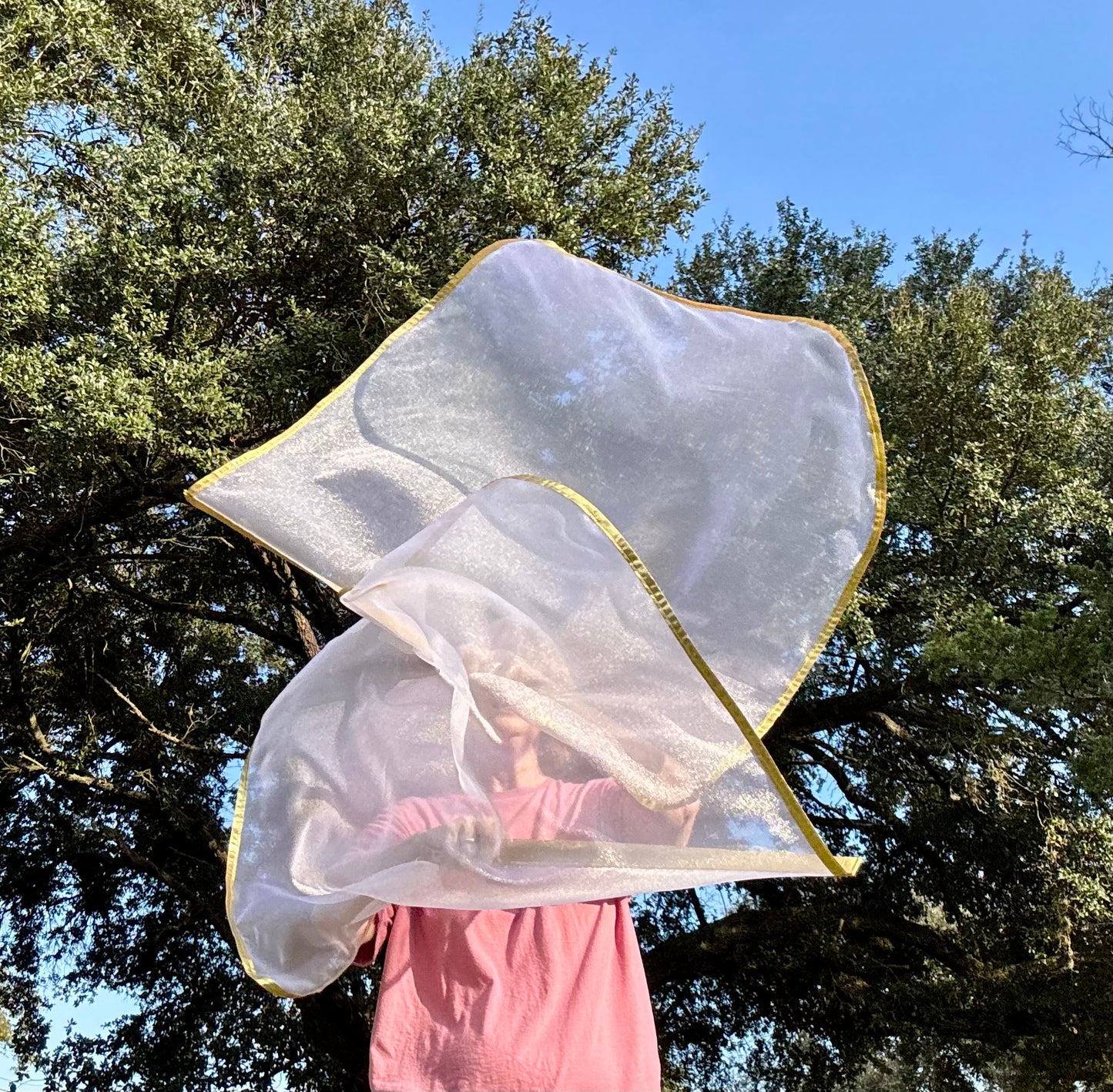 Bride of Christ Worship Praise Dance Flags (Small)