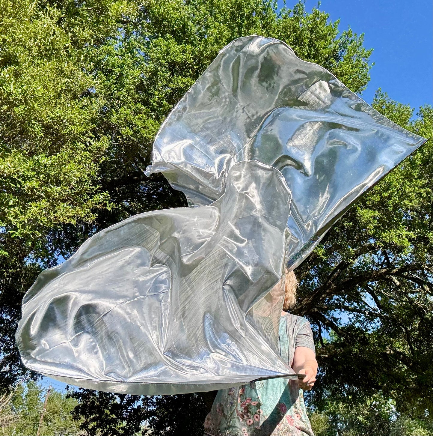 Sword of the Spirit Worship Praise Dance Flags (Medium)