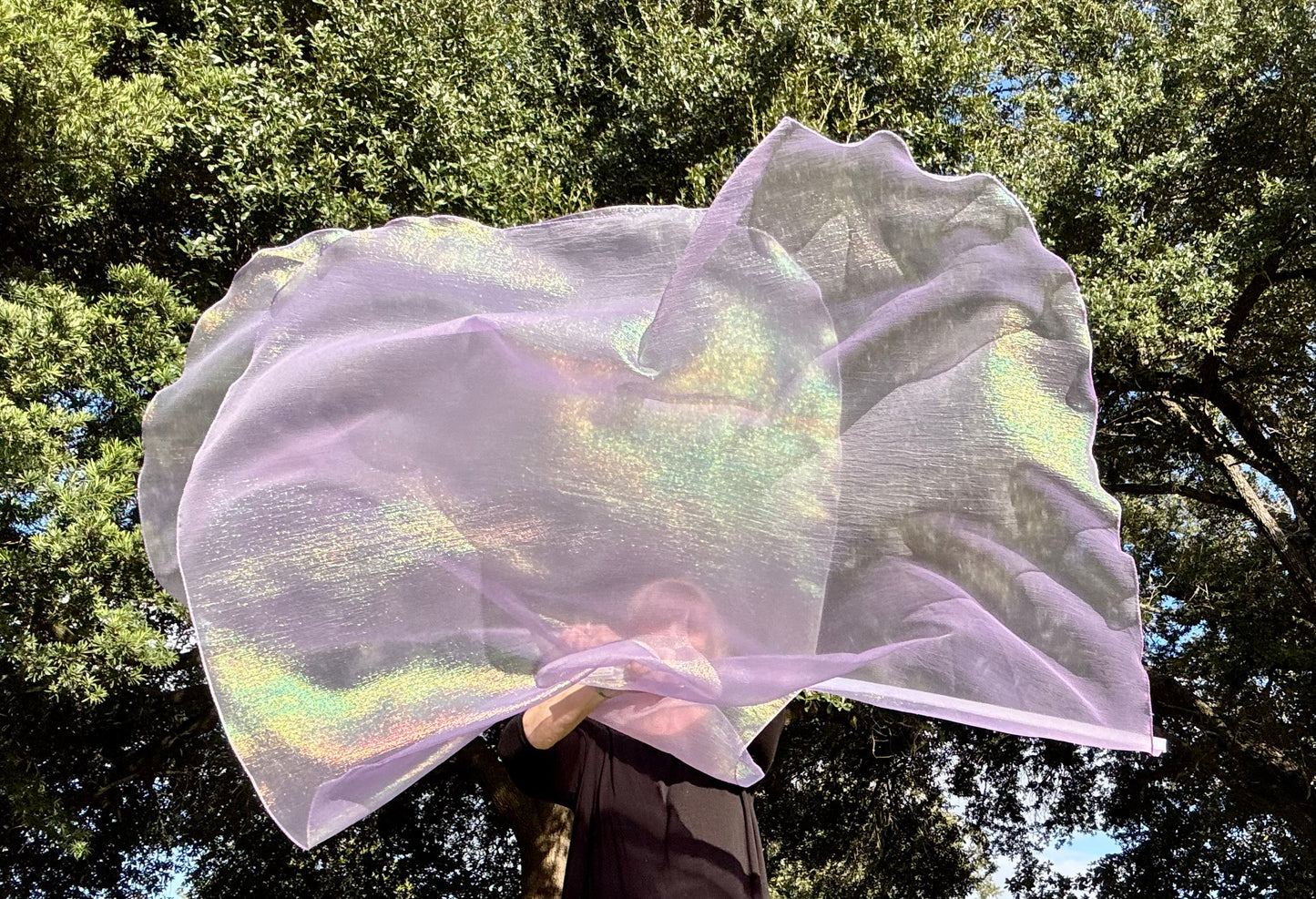 Dew from Heaven Worship Praise Dance Flags (Large)