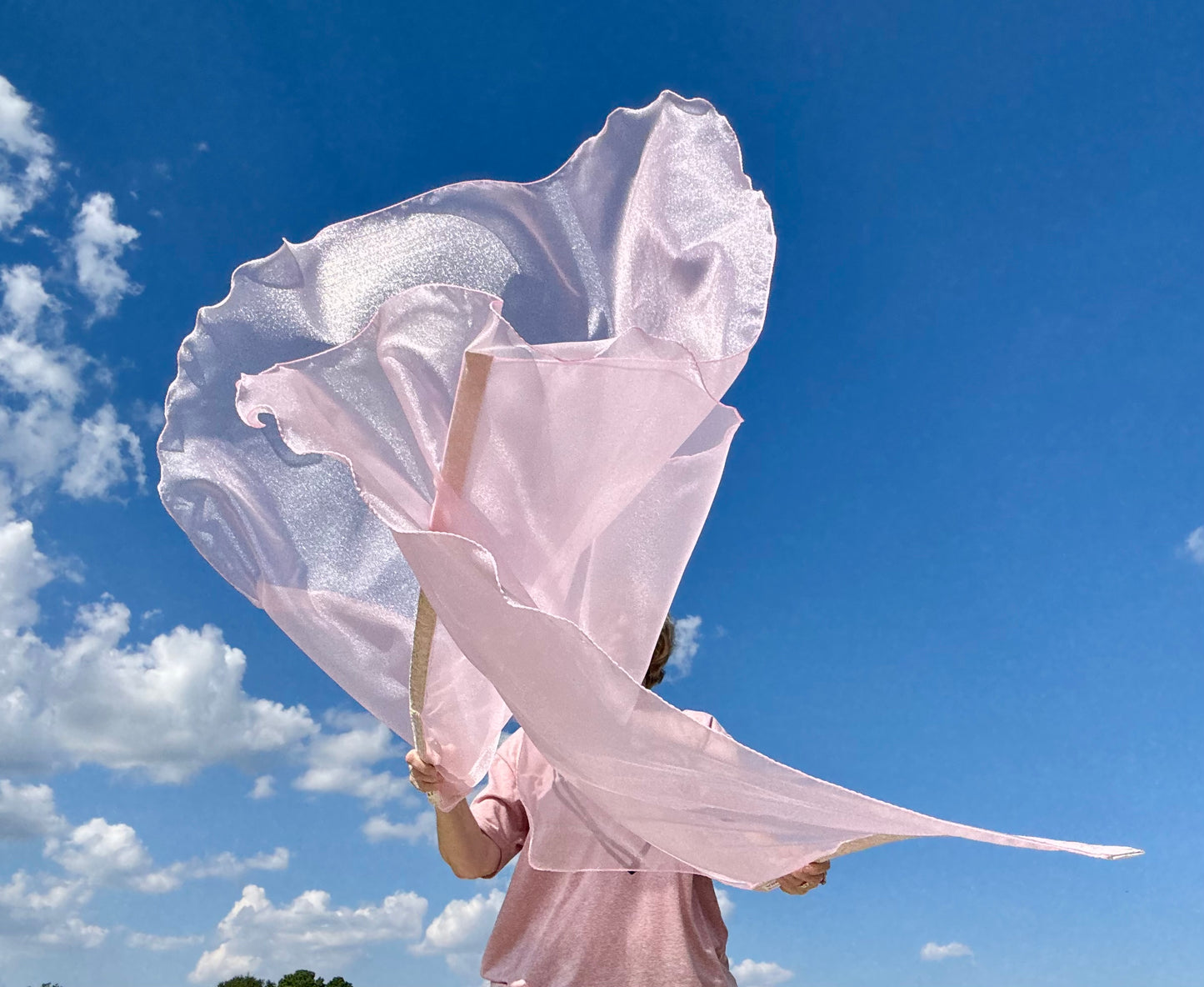 Reconciliation Worship Praise Dance Flags (Large)