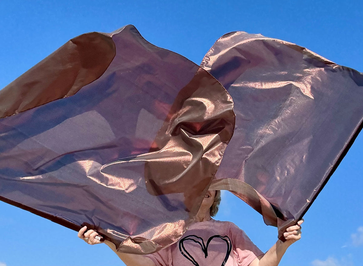 Bronze Shield Worship Praise Dance Flags (Medium)