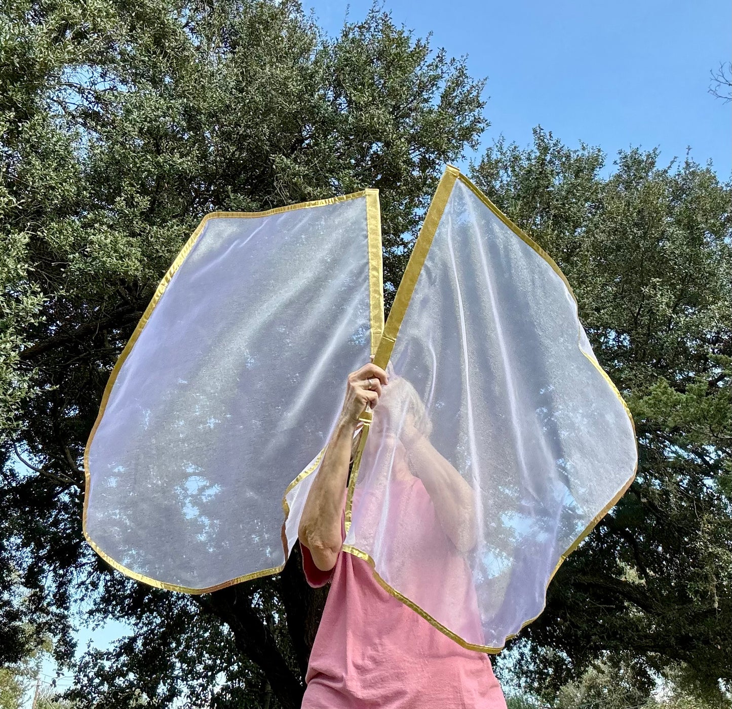 Bride of Christ Worship Praise Dance Flags (Small)