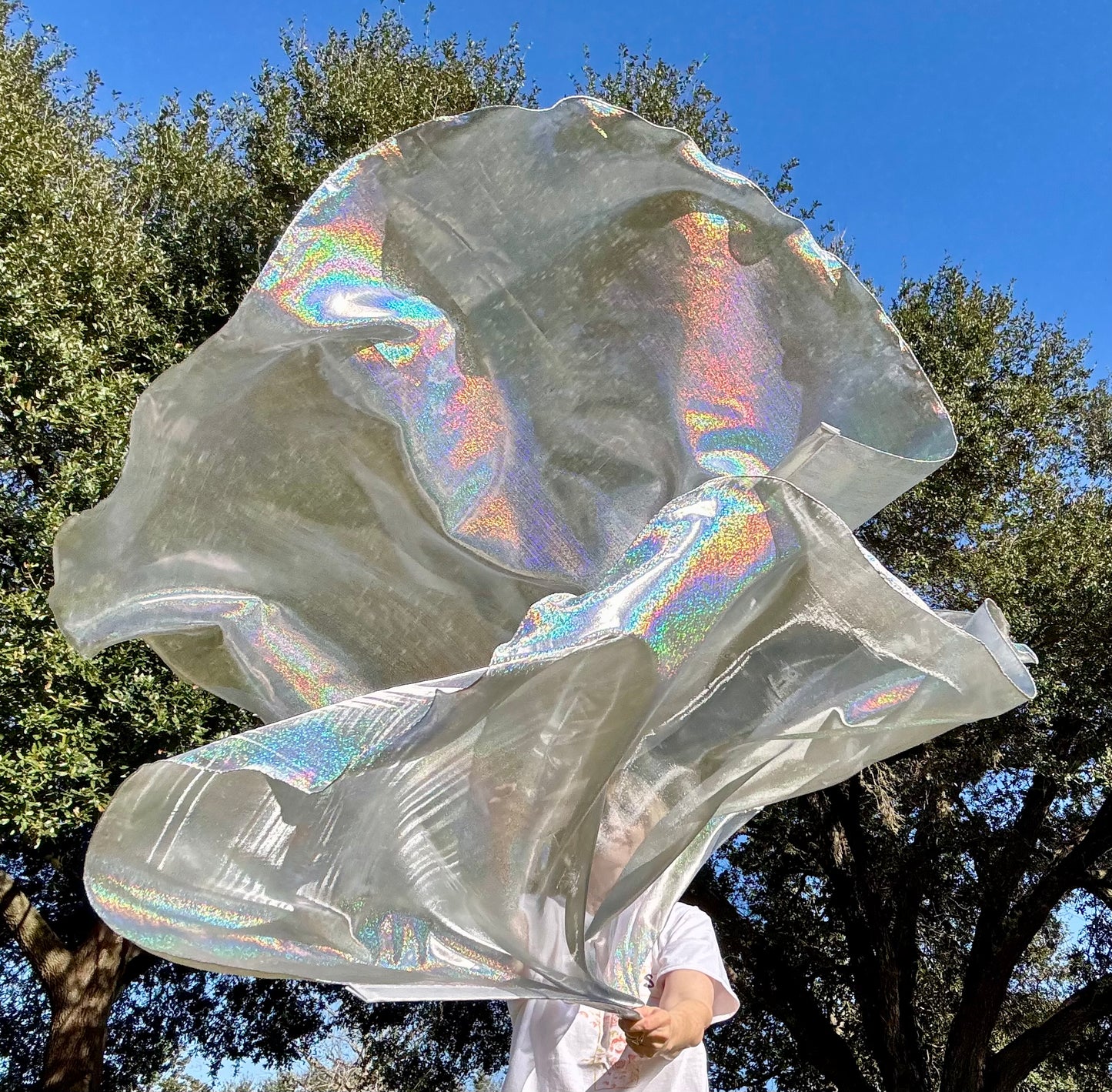 Flashing Sword (Holographic) Worship Praise Dance Flags (Large)