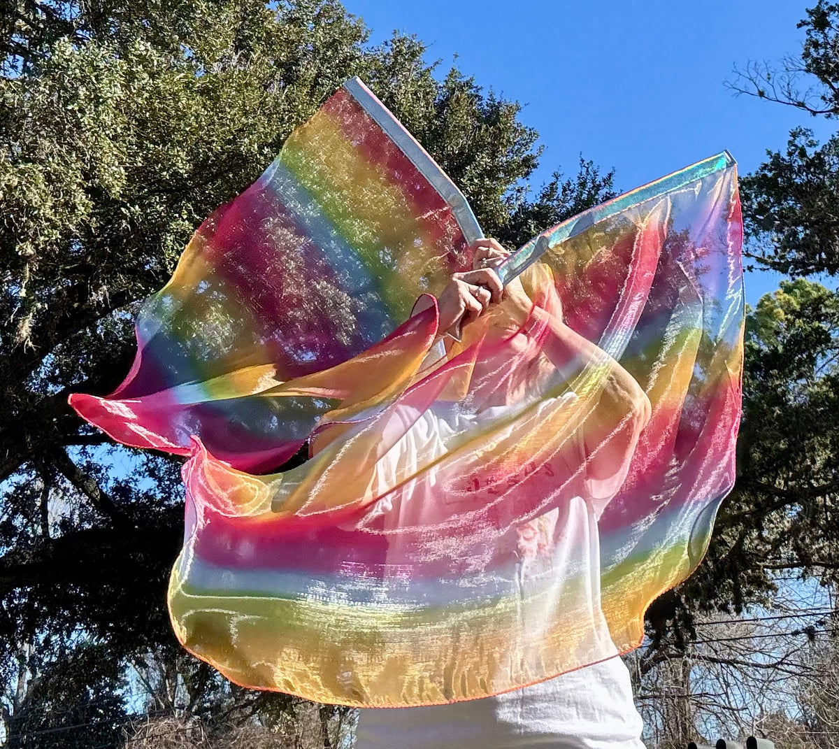 God's Promise Worship Praise Dance Flags (Small)