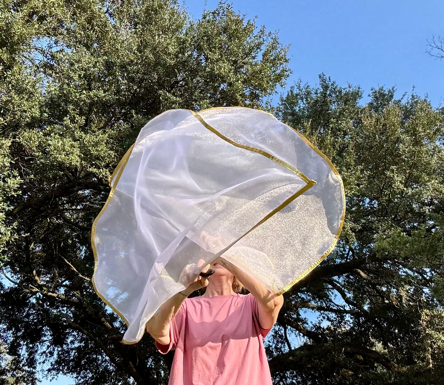 Bride of Christ Worship Praise Dance Flags (Small)