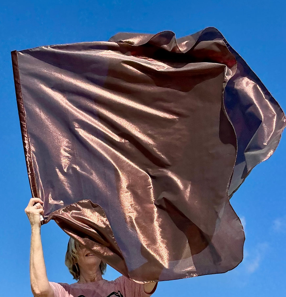 Bronze Shield Worship Praise Dance Flags (Medium)