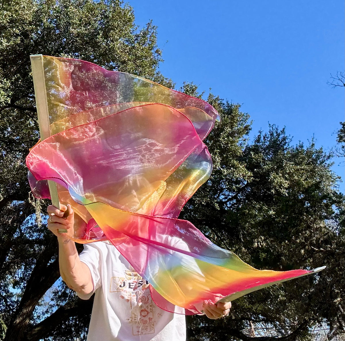 God's Promise Worship Praise Dance Flags (Small)