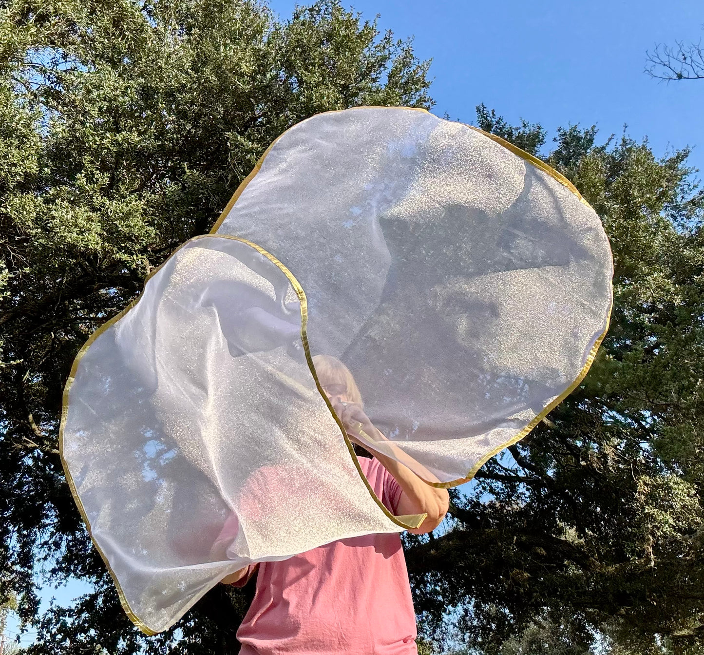 Bride of Christ Worship Praise Dance Flags (Small)