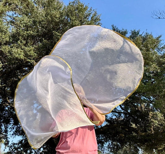 Bride of Christ Worship Praise Dance Flags (Small)