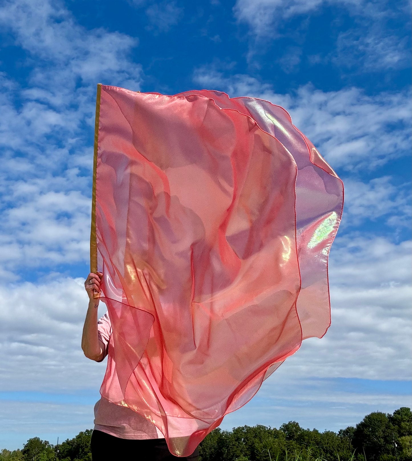 REfresh Worship Praise Dance Flags (Medium)