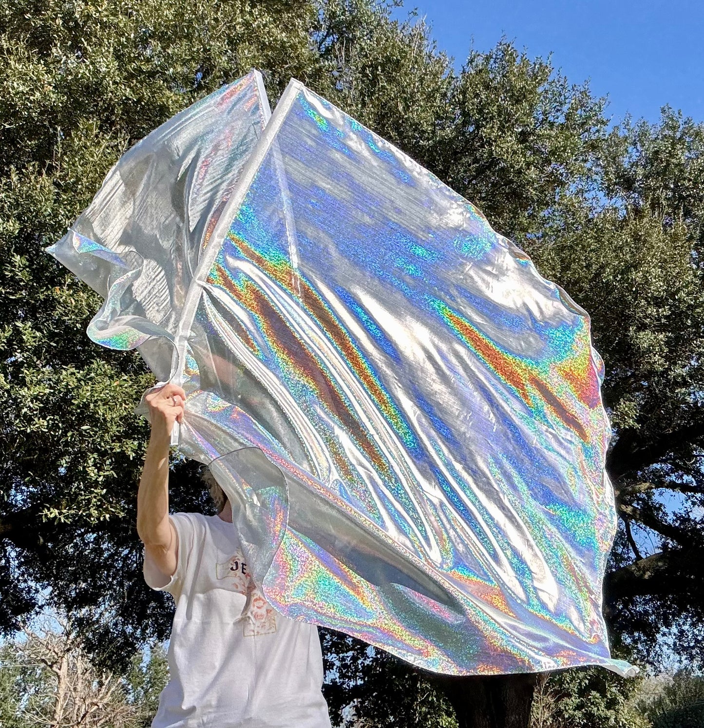 Flashing Sword (Holographic) Worship Praise Dance Flags (Large)