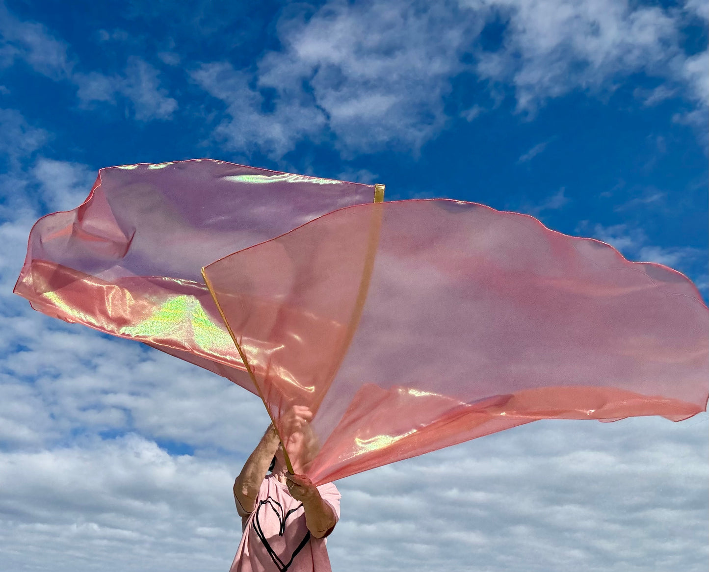 REfresh Worship Praise Dance Flags (LARGE)