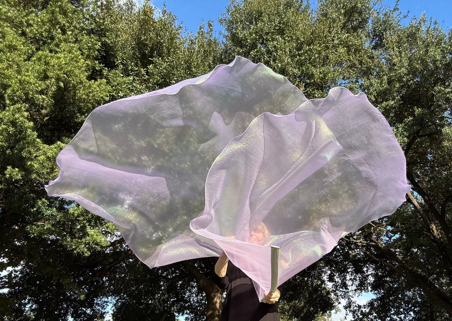 Dew from Heaven Worship Praise Dance Flags (Large)