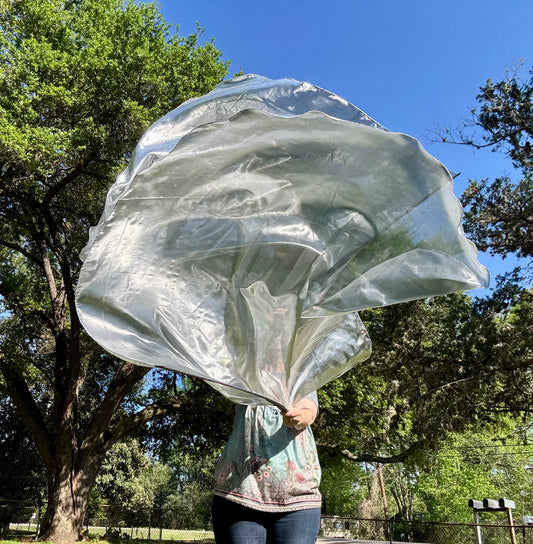 Sword of the Spirit Worship Praise Dance Flags (Large)