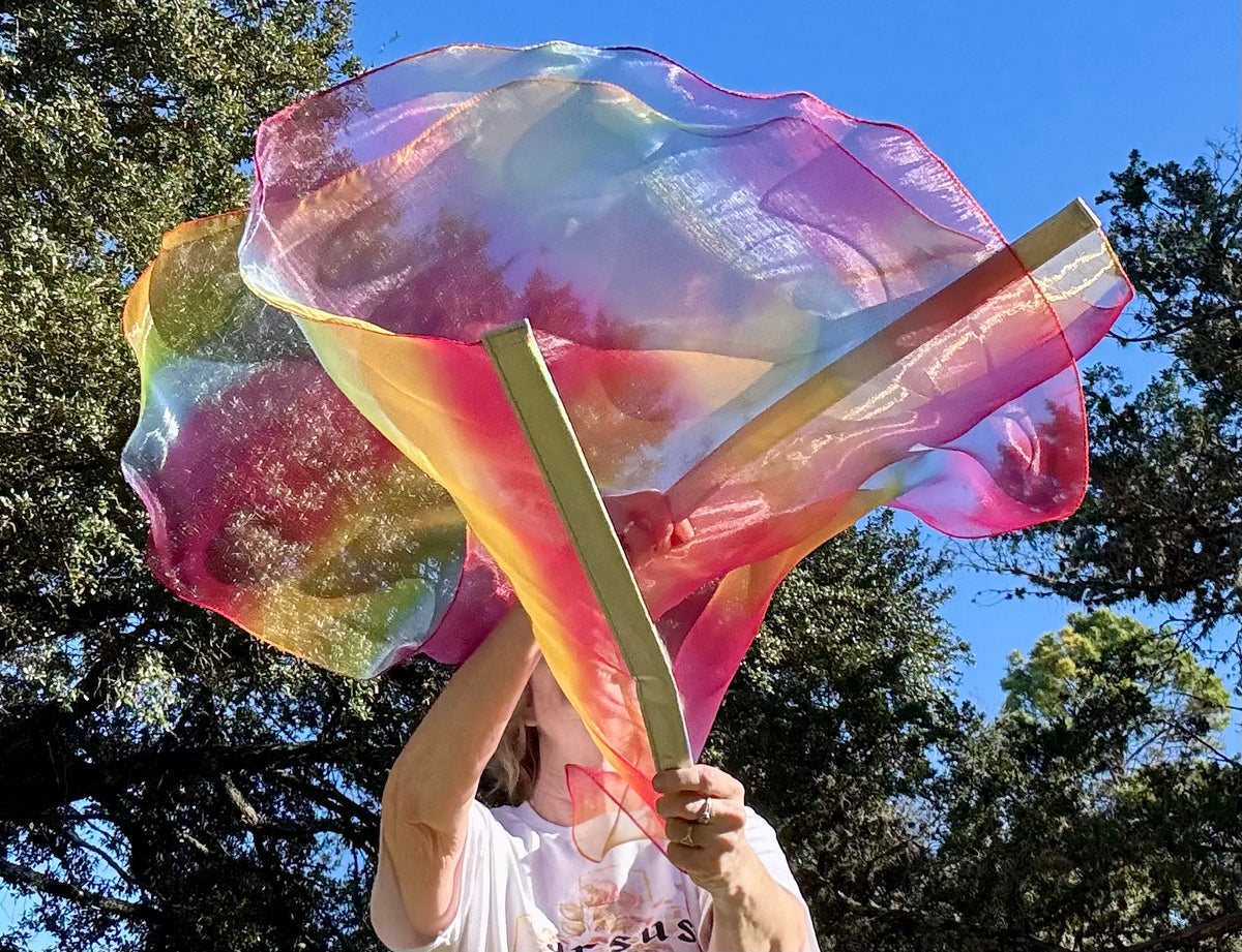 God's Promise Worship Praise Dance Flags (Small)