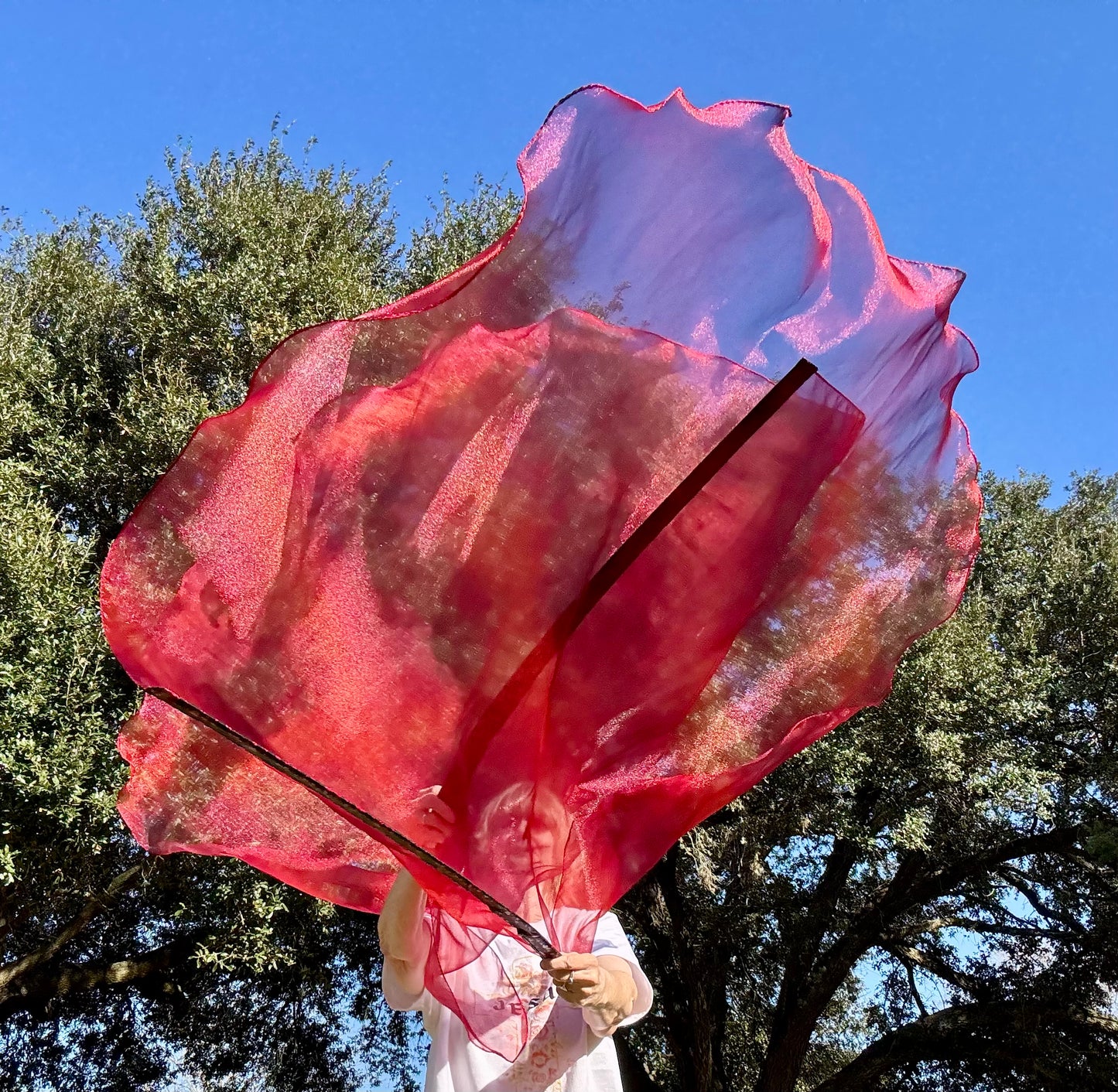 Blood of Christ Worship Dance Praise Flag (Large)