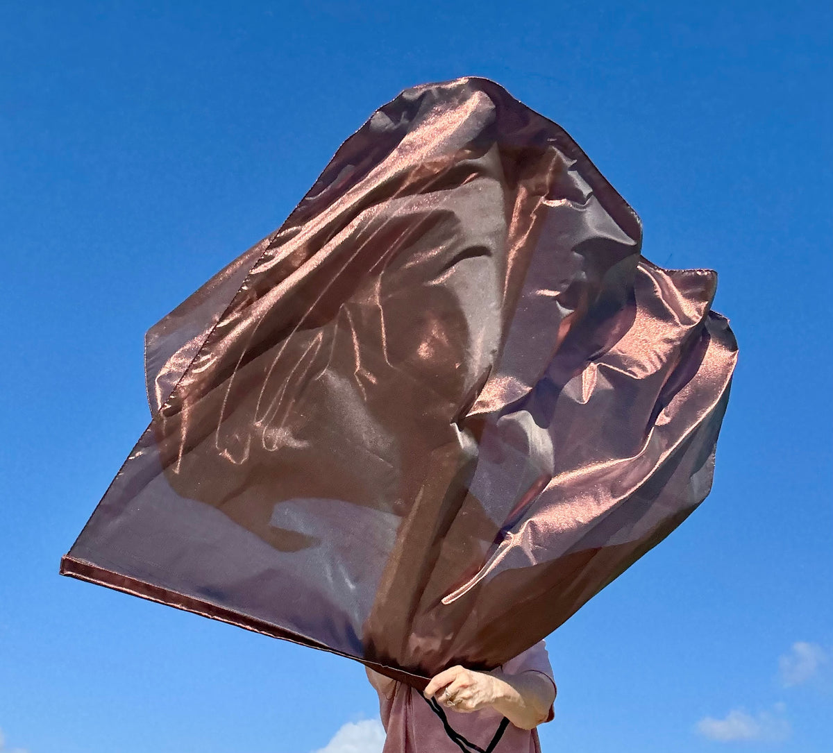 Bronze Shield Worship Praise Dance Flags (Medium)