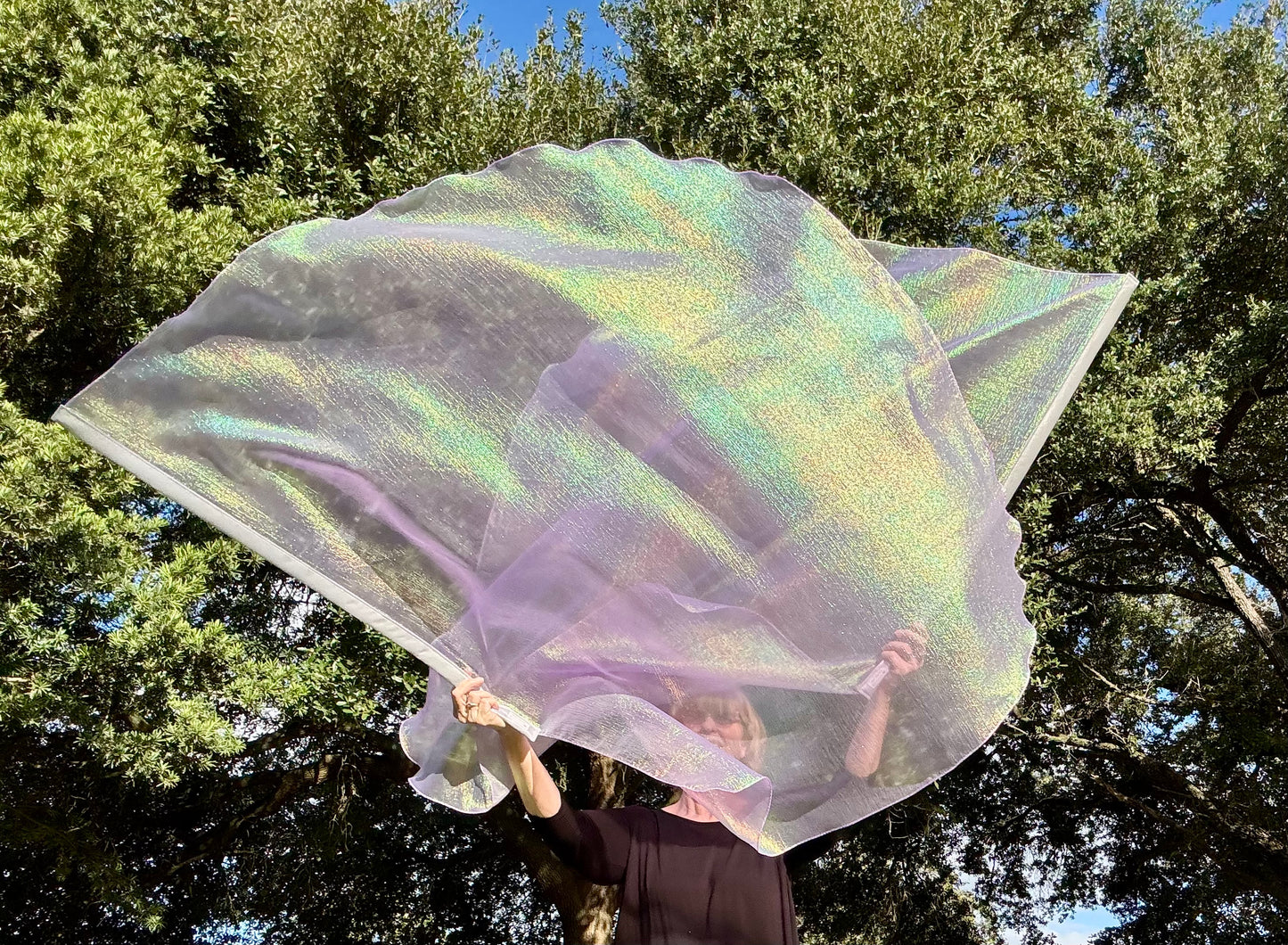 Dew from Heaven Worship Praise Dance Flags (Large)